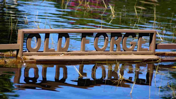 Things to do in Old Forge