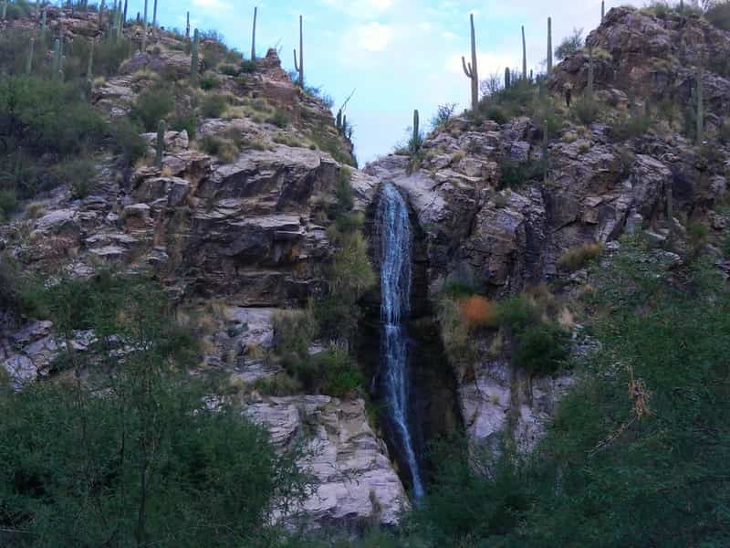 Things to do in Tucson